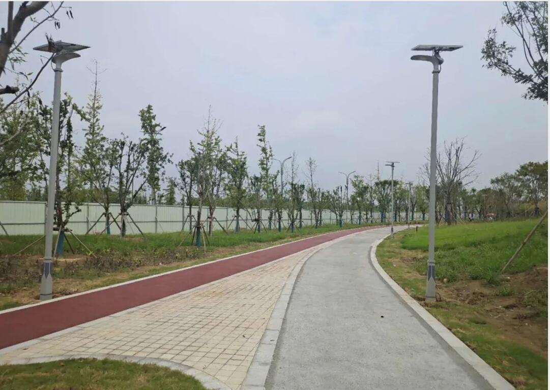 晴空排云雁高飛，源碼項目掀熱潮