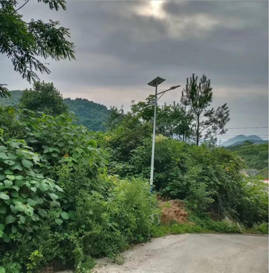 晴空排云雁高飛，源碼項目掀熱潮