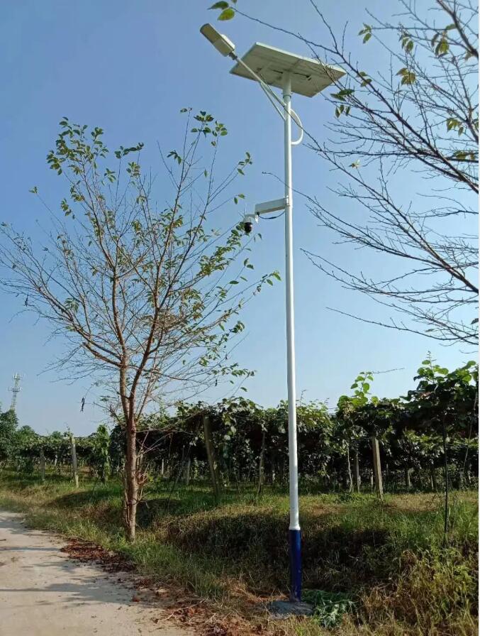 晴空排云雁高飛，源碼項目掀熱潮