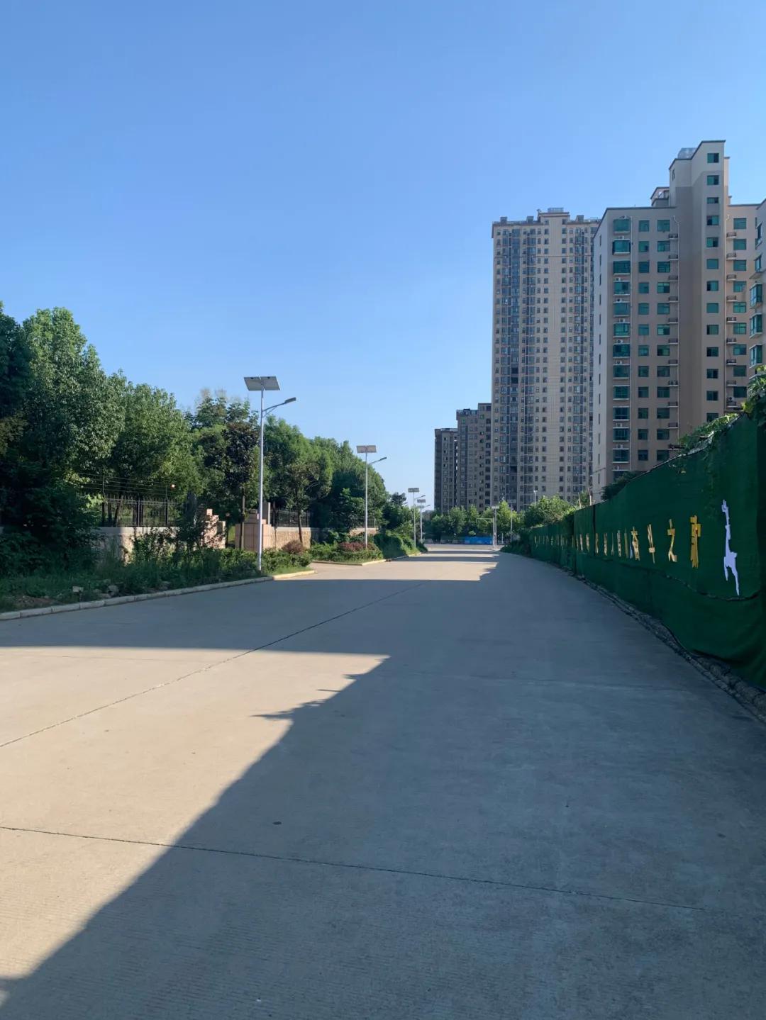 云鵬燈〡九萬里風(fēng)安稅駕，云鵬今悔不卑飛