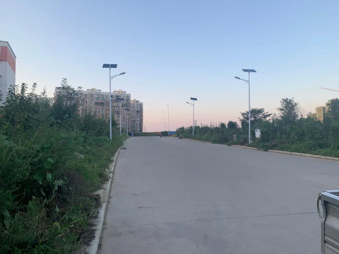 云鵬燈〡九萬里風(fēng)安稅駕，云鵬今悔不卑飛