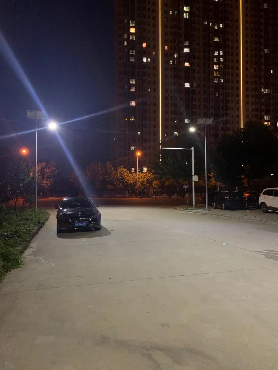 云鵬燈〡九萬里風(fēng)安稅駕，云鵬今悔不卑飛